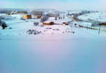 Alerta: vuelve la nieve a casi toda la región, a muy poco para que llegue la Primavera