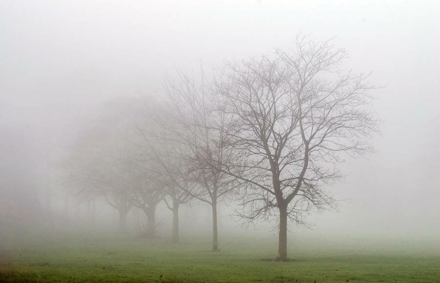 niebla-nublado el tiempo