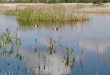 Los Parques Nacionales de C-LM recibirán el doble de fondos del Estado