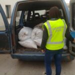 La Guardia investiga a siete personas por diversos hurtos y robos de aceituna en la provincia de Ciudad Real