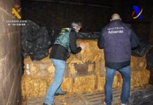 El Estado recauda menos en nuestra región por el tabaco