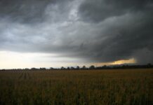 Este domingo en Castilla-La Mancha: tormentas ocasionales y máximas en descenso