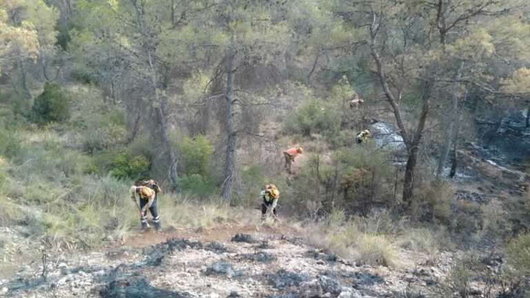 Arroyo cree que el incendio de Yeste estará perimetrado entre hoy y mañana