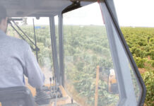 Castilla-La Mancha registró 1.654 robos en el campo en 2016, casi un 50% menos que los 3.228 del año 2013