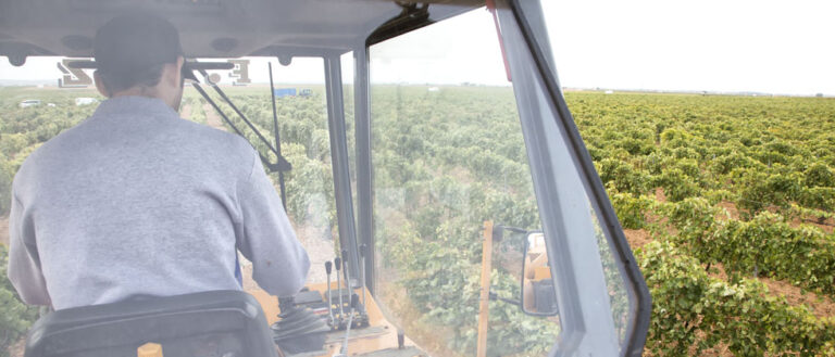 Castilla-La Mancha registró 1.654 robos en el campo en 2016, casi un 50% menos que los 3.228 del año 2013