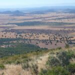 Quantum recurrirá el archivo del proyecto de minería de tierras raras en C-LM