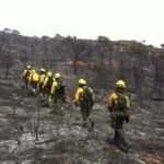 El incendio de Campillo de Altobuey (Cuenca) desciende a nivel 0 y está estabilizado