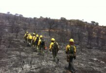 Helicópteros, aviones, autobombas, todo listo para la campaña contra incendios forestales