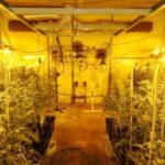 Absuelven a dos de los diez acusados de traficar con drogas entre Ciudad Real y Toledo