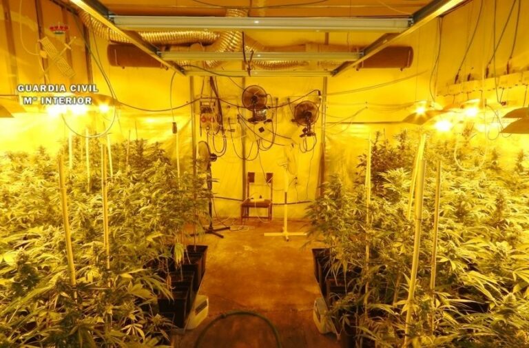 Absuelven a dos de los diez acusados de traficar con drogas entre Ciudad Real y Toledo