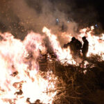 Si vas a hacer hoguera en San Antón, cuidado al deshacerte de los restos