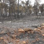 Un total de 12 medios y 37 personas trabajan en el incendio de Campillo de Altobuey (Cuenca)