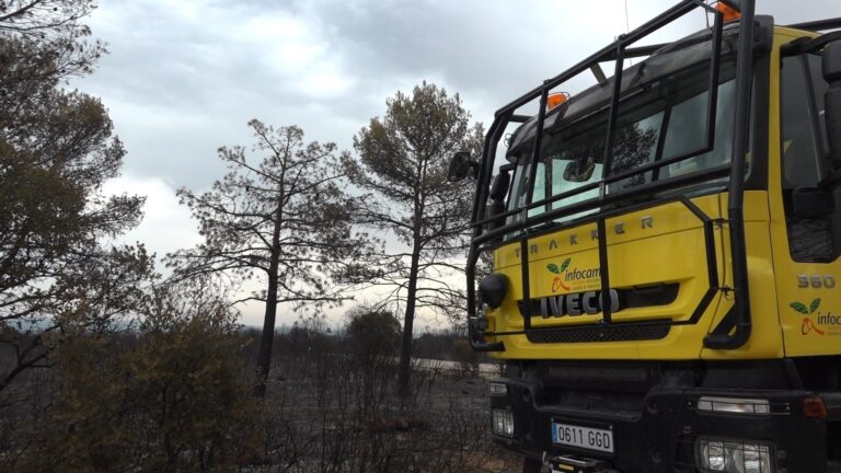 Controlado el incendio de Campillo de Altobuey (Cuenca)