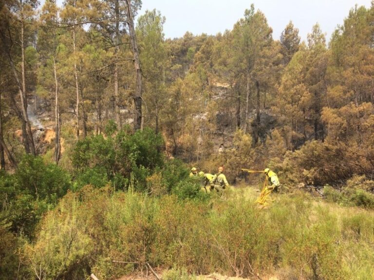 El INFOCAM mantiene el plan de acción para consolidar el incendio de Yeste (Albacete)