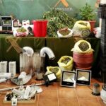 La Guardia Civil desmantela dos laboratorios de marihuana en Torralba de Calatrava y se incauta de 117 plantas