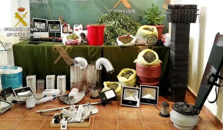 La Guardia Civil desmantela dos laboratorios de marihuana en Torralba de Calatrava y se incauta de 117 plantas