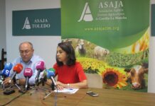 Asaja CLM presentará por escrito a la Junta y AICA las “irregularidades” que se están cometiendo en el precio de la uva