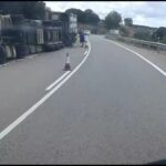 El vuelco de un camión cargado de cerdos condiciona el tráfico en la N-420 a su paso por Fuentes (Cuenca)