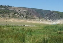 Entrepeñas y Buendía bajan 1,6 hectómetros la última semana y almacenan 255,77, el 10,33% de su capacidad