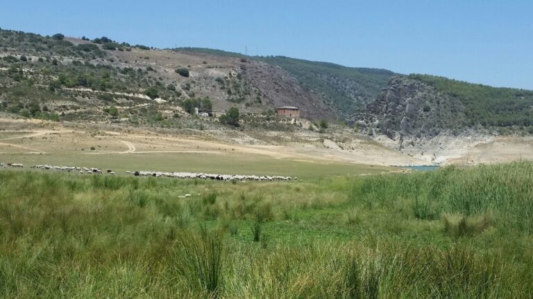 Entrepeñas y Buendía bajan 1,6 hectómetros la última semana y almacenan 255,77, el 10,33% de su capacidad