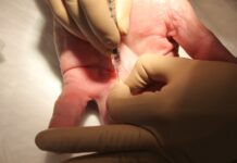 Casi el 37% de las más de 26.400 solicitudes para las oposiciones del SESCAM son de ciudadanos de fuera de C-LM