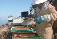 Este viernes se abre el plazo para solicitar ayudas a la creación de agrupaciones de productores en C-LM