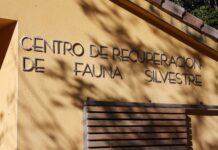 Junta encomienda a Geacam el servicio técnico del funcionamiento de la red de centros de recuperación de fauna silvestre