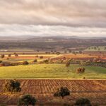 El tratamiento de tierras raras en Ciudad Real quedará sujeto a monitorización radiológica, según ‘Sí a la tierra viva’