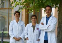 Investigadores de la UCLM prueban que la combinación de fármacos específicos mejora el tratamiento del melanoma