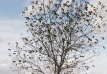 El otoño será cálido y con tormentas, según la AEMET