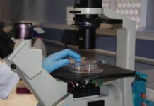 Este martes se abre el plazo para solicitar ayudas para proyectos de investigación científica