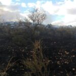 Extinguido el incendio declarado en Herencia