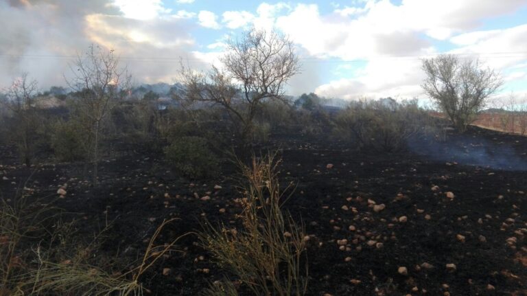 Extinguido el incendio declarado en Herencia