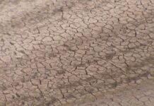 2017 es el año más seco del siglo y el tercero con menos agua embalsada desde 1990