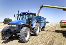 La cosecha de cereales en C-LM desciende un 40% respecto al año pasado, según Cooperativas Agroalimentarias