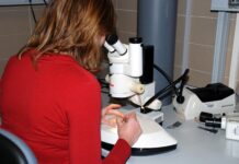 Agentes del Sistema Regional de I+D+i pueden realizar ya sus aportaciones a la ley de innovación en C-LM