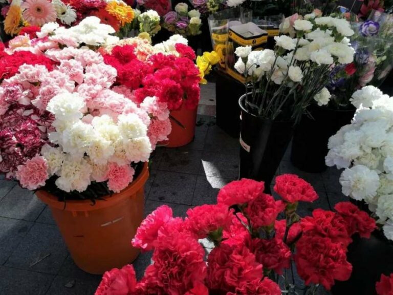 Los castellano-manchegos gastarán 50 euros en flores por la festividad de Todos los Santos Los castellano-manchegos gastarán 50 euros en flores por la festividad de Todos los Santos
