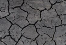 Greenpeace exige cerrar los pozos ilegales, el fin de obras hidráulicas y mejorar la gestión ante la sequía