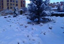 Este domingo nevadas en toda la región