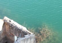 El PP asegura que será «exigente» para que el documento del agua beneficie a Castilla-La Mancha