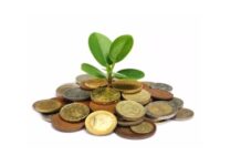 Conocer bien el mercado y elaborar un buen plan de negocio