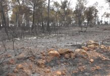 Amplias zonas de La Mancha, en riesgo extremo de incendio