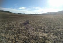 Los ‘Ribereños’ alertan de que los embalses de cabecera siguen vacíos a pesar de las nevadas y las lluvias