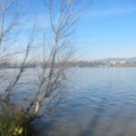 Lamentan que Rajoy resucite el trasvase en el Día del Agua, sin tener en cuenta a la cuenca cedente