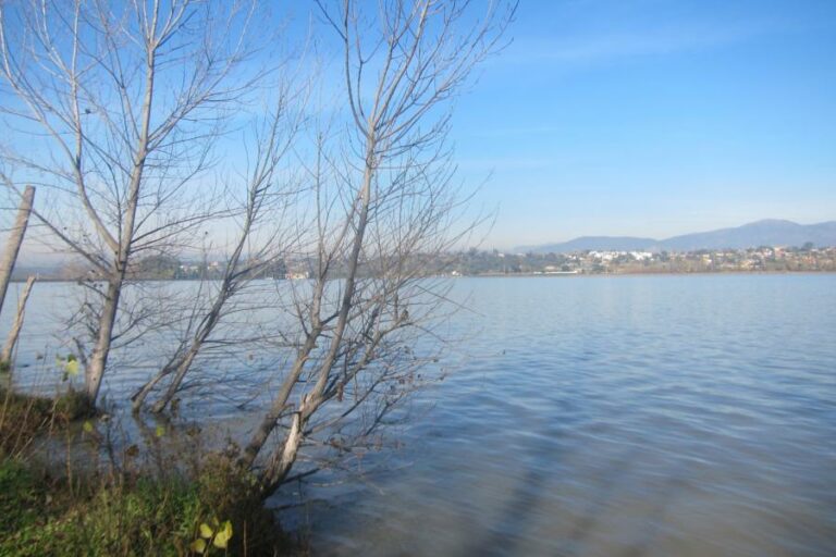 Lamentan que Rajoy resucite el trasvase en el Día del Agua, sin tener en cuenta a la cuenca cedente