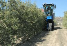 Un total de 120.000 agricultores y ganaderos de C-LM han solicitado ayudas de la PAC