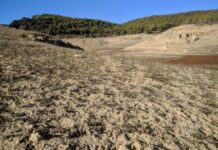 Los municipios Ribereños hartos del expolio, llaman a los regantes del Segura “avaros e indecentes”