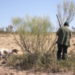 Accidente de caza en una finca de Ciudad Real