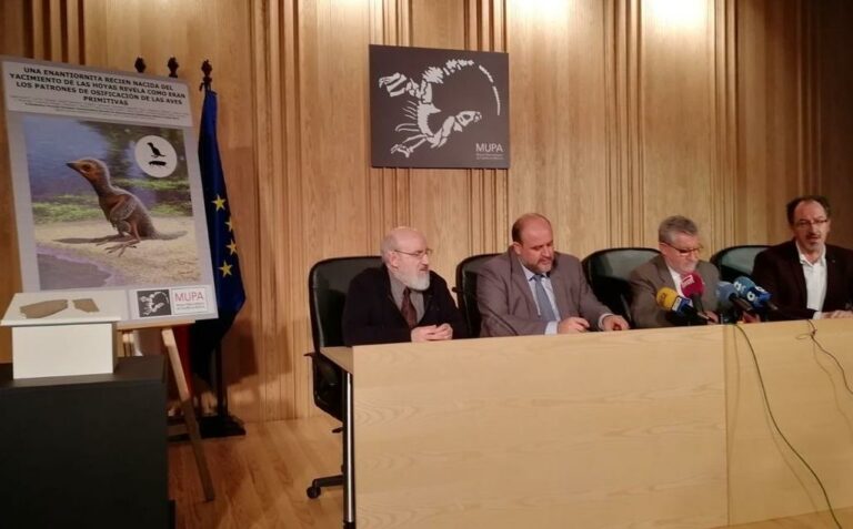 El hallazgo de un fósil de un ave de hace 125 millones de años en Las Hoyas aporta información valiosa