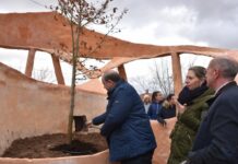 Luz verde a 10 millones para la reforestación ambiental en Castilla-La Mancha